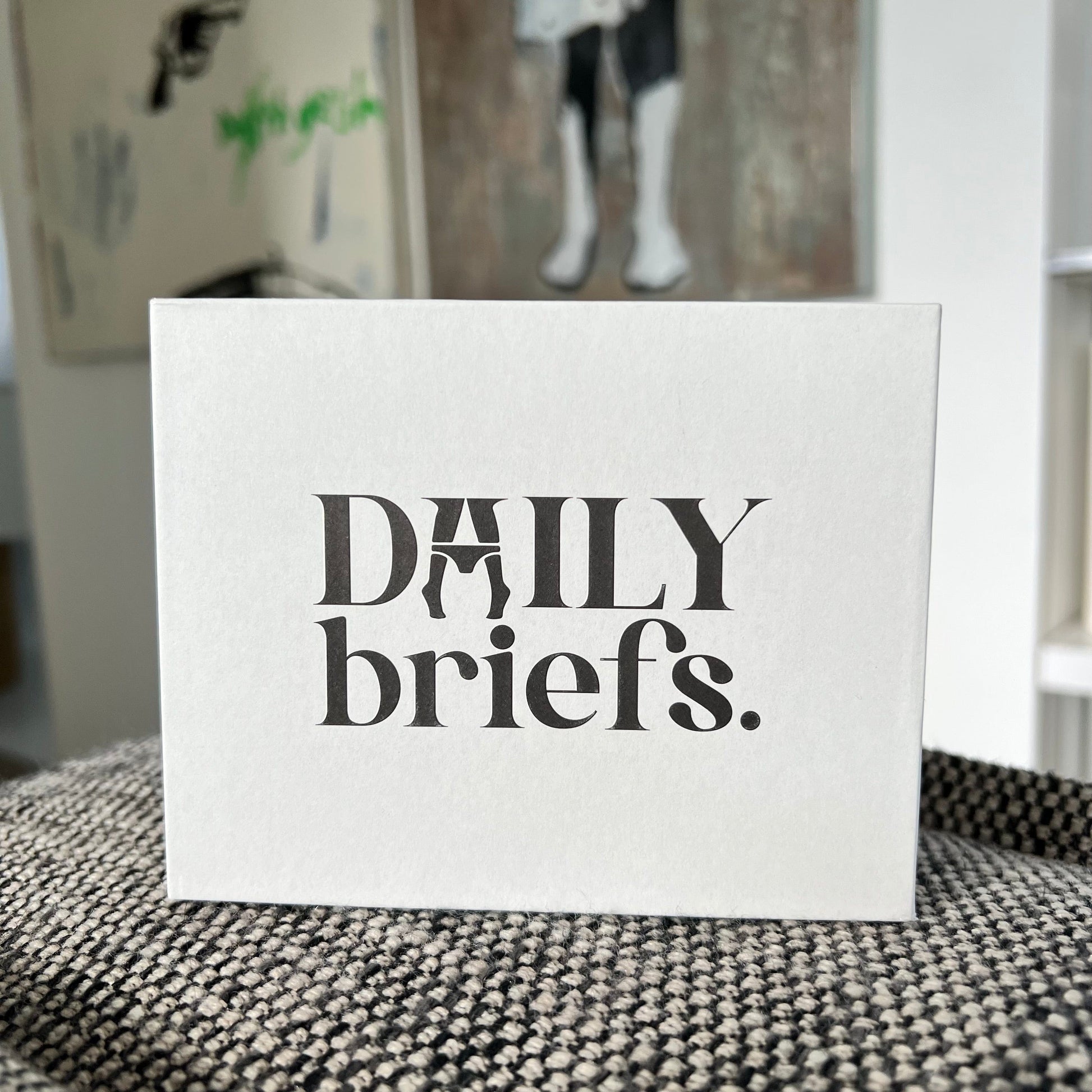 Gift box for Daily Briefs women's underwear